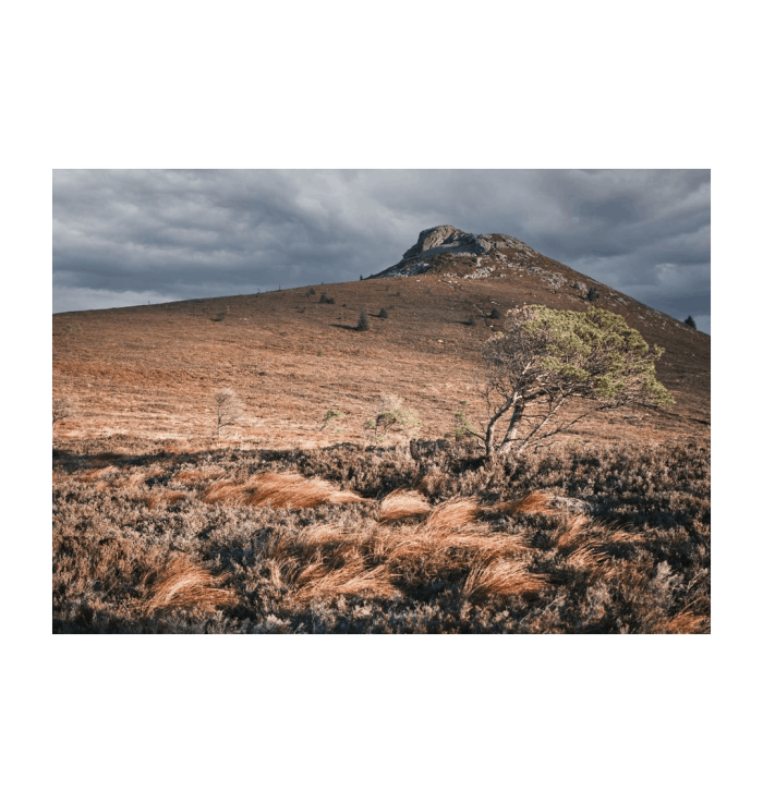 Large Landscape Art Print (42 x 29.7cm) (Design 1)