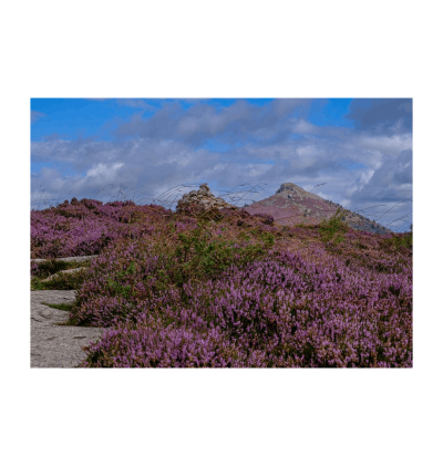 Large Landscape Art Print (42 x 29.7cm) (Design 5)
