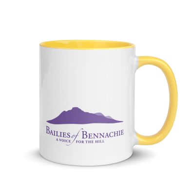 Bailies Mug - coloured inside & handle